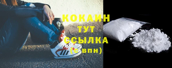 ешки Аркадак