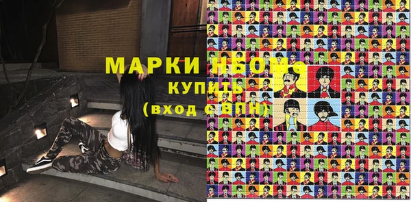 ешки Аркадак