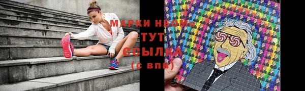 ешки Аркадак