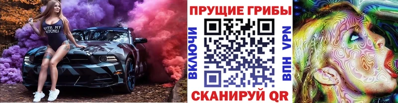 МЕГА вход Тогучин Галлюциногенные грибы GOLDEN TEACHER